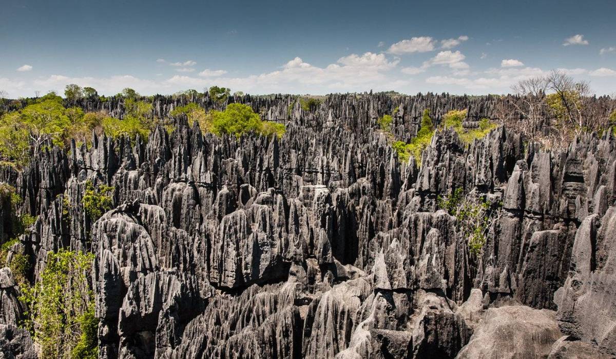 Tsingy de Bemaraha Park in Madagascar