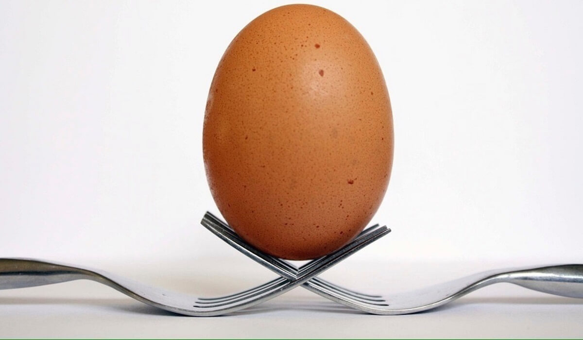 Brown egg and two forks