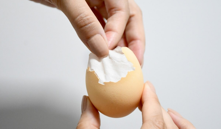 A person holding an egg