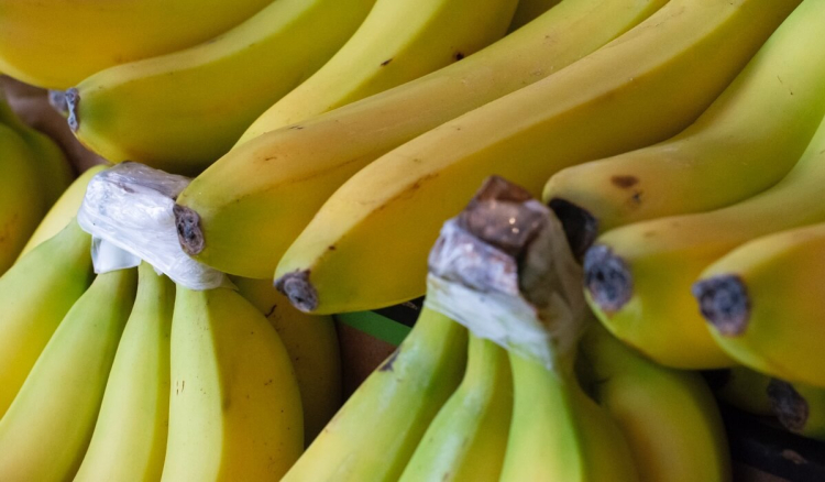 Связка бананов 